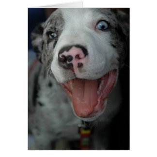 Le plus grand plaisir