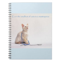 Le plus petit du carnet de chats : Farrah