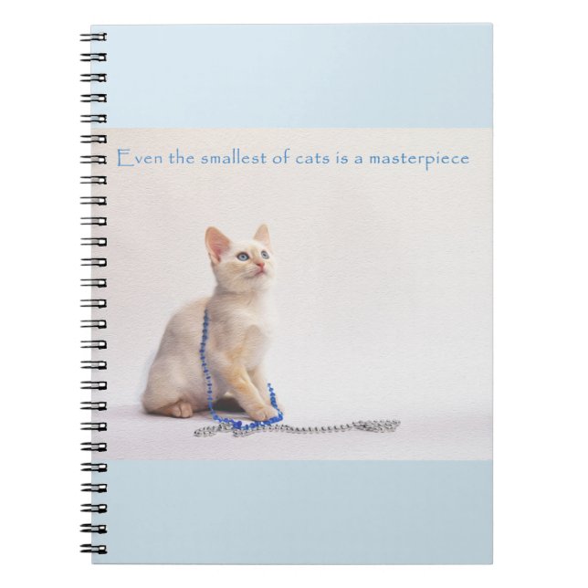 Le plus petit du carnet de chats : Farrah (Devant)