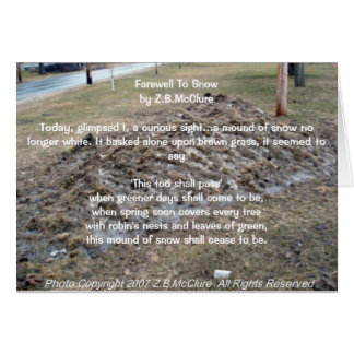 le poème du snowbird