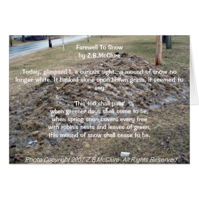 le poème du snowbird (Devant horizontal)