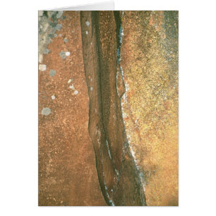 Le point #1 de l'artiste