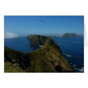 Le point d'inspiration d'Anacapa I dans les îles d