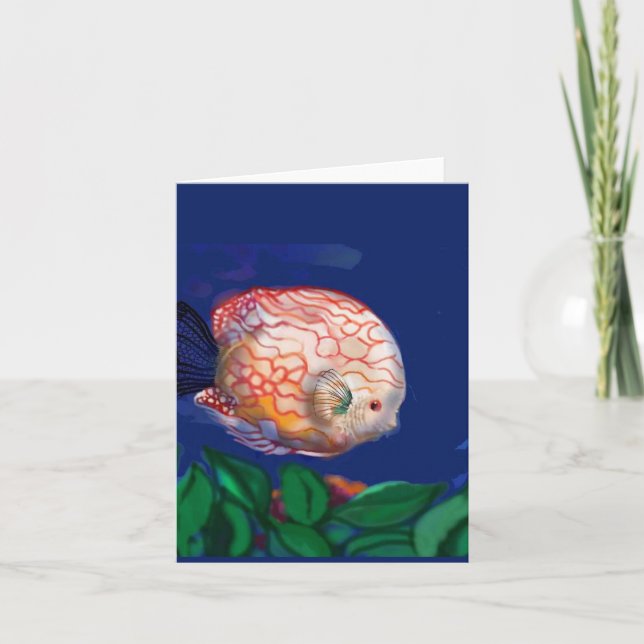 Le poisson incroyable (Devant)