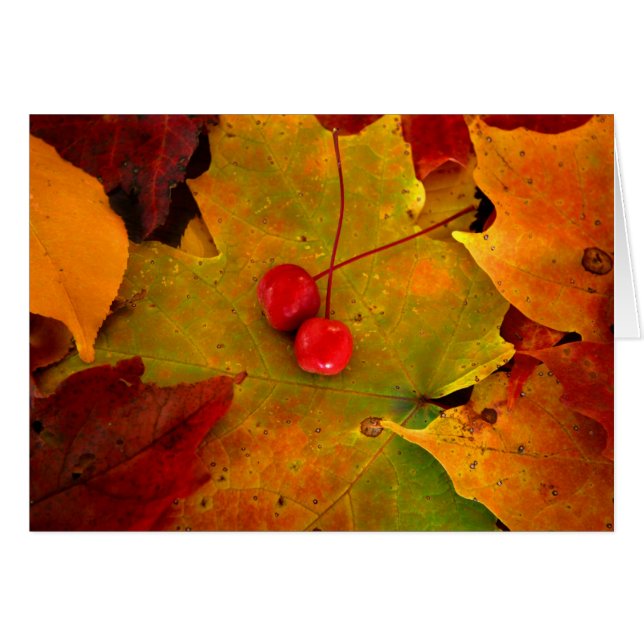 Le porche II de l'émeris (Devant horizontal)