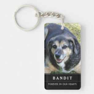 Le porte - clé commémoratif de chien ne pleurent