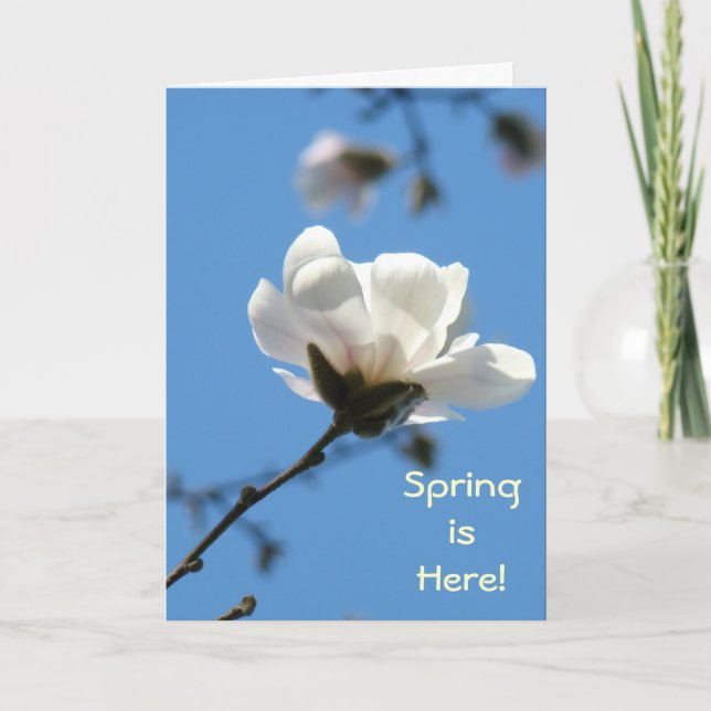 Le printemps est là ! Cartes de voeux Arbre Magnol (Devant)