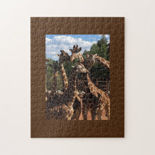 Le Puzzle de Jigsaw