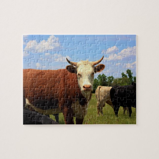 Le puzzle de la VACHE au KANSAS (Horizontal)