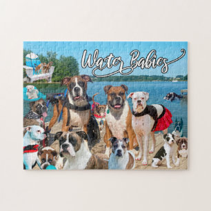 Le Puzzle du Chien de Boxe