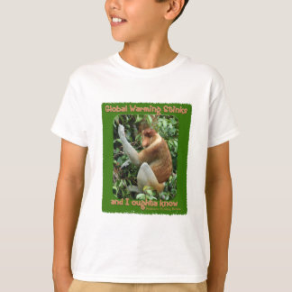 Le réchauffement climatique empeste le T-shirt