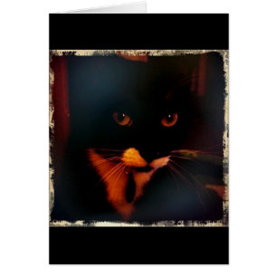 Le regard dramatique de Lucy