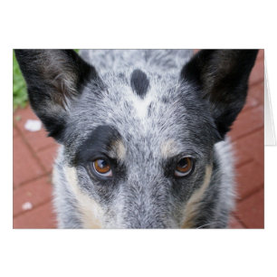 Le regard fixe vers le bas