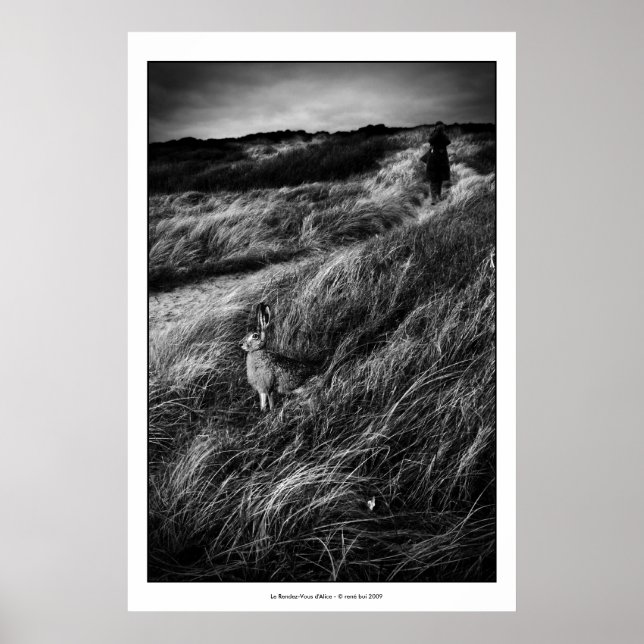 Le Rendez-vous d'Alice Wonderland Foto für schöne  Poster (Vorne)