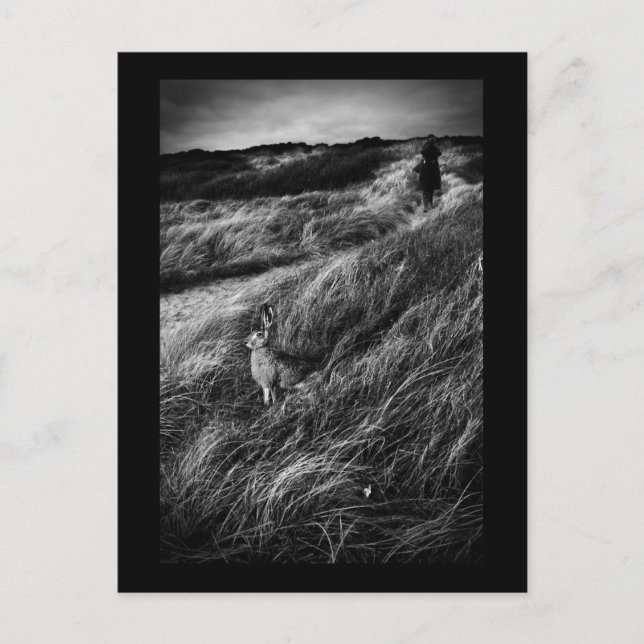 Le Rendez-vous d'Alice Wonderland Foto für schöne  Postkarte (Vorderseite)