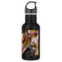 Le ressort bourgeonne la bouteille d'eau de