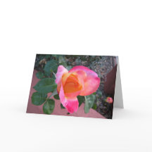 Le ressort colore le carte de remerciements