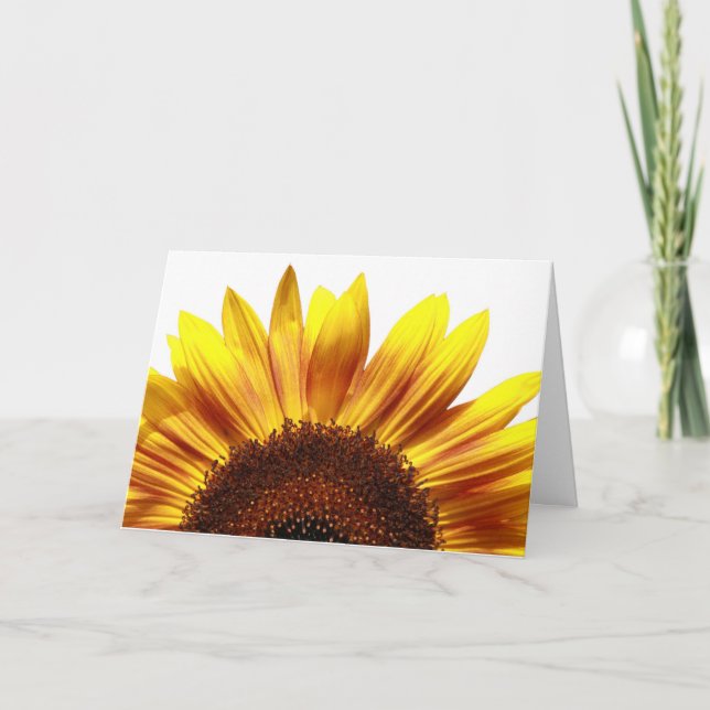 Le ressort est prochaine carte de voeux (Devant)