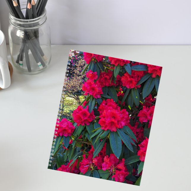 Le Rhododendron rouge fleurit le Carnet Floral (In Situ)
