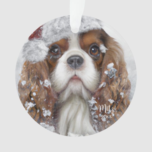 Le roi Cavalier Charles Spaniel, Chien Père Noël, (devant)