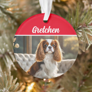 Le roi Charles Spaniel avec nom et photo Noël