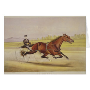 Le roi du gazon, "St Julien", conduit par Orri