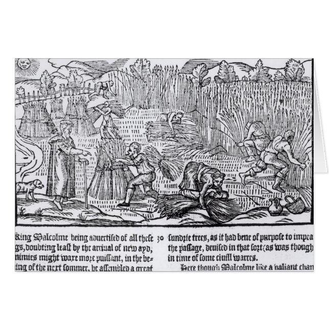 Le Roi Malcolm de l'Ecosse (Devant horizontal)