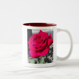 LE ROSE #1 MUG