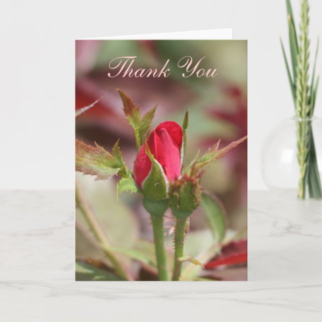 Le rose rouge bourgeonne le carte de remerciements (Devant)