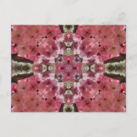 Le rose se développe carte postale de fleur de