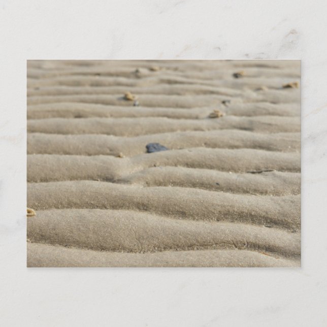 Le sable sur la carte postale de la mer du Nord (Devant)