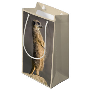 Le sac de cadeau de sentinelle