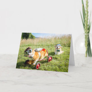 Le scientifique Corgis sur une carte d'anniversair