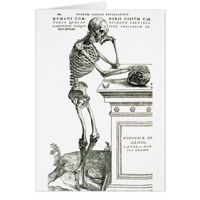 Le squelette réfléchi (Devant)