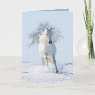 Le Stallion des neiges et la Carte de voeux pour l