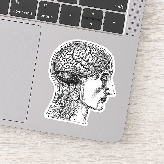 Le Sticker Médicale d'illustration du cerveau huma (Détail)
