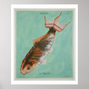 Le Superbe, graviert von Francois Nicholas Poster