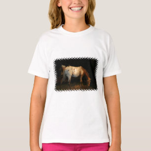 Le T-shirt de la fille d'Appaloosa