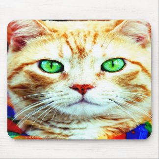 le tapis de souris