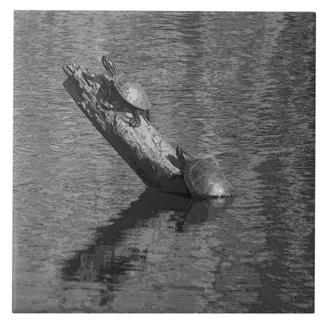 Le temps de tortue chronomètre deux le carreau de (Devant)