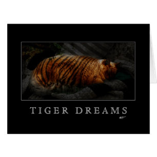 Le tigre rêve la carte