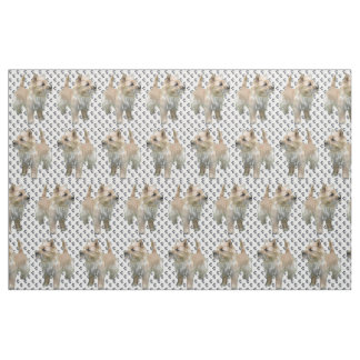 Le tissu de race de chien de Cairn Terrier