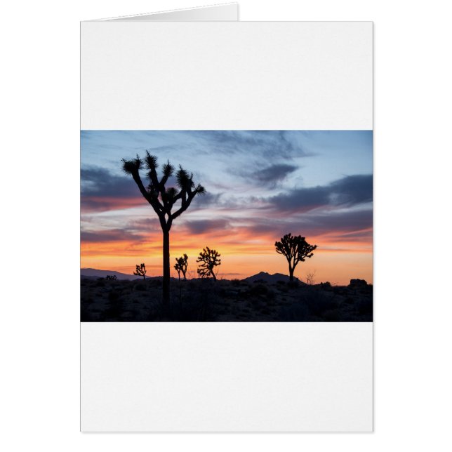 Le Tree Park Party Personnalise Le Destiny Destiny (Devant)