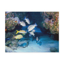 LE TROU DANS LA CARTE POSTALE DU MUR