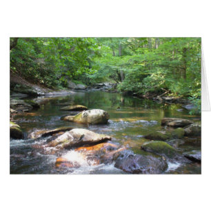 Le trou de natation 032