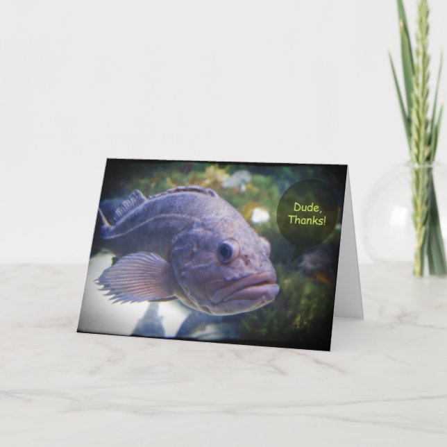 Le type remercie des poissons avec le carte de (Devant)