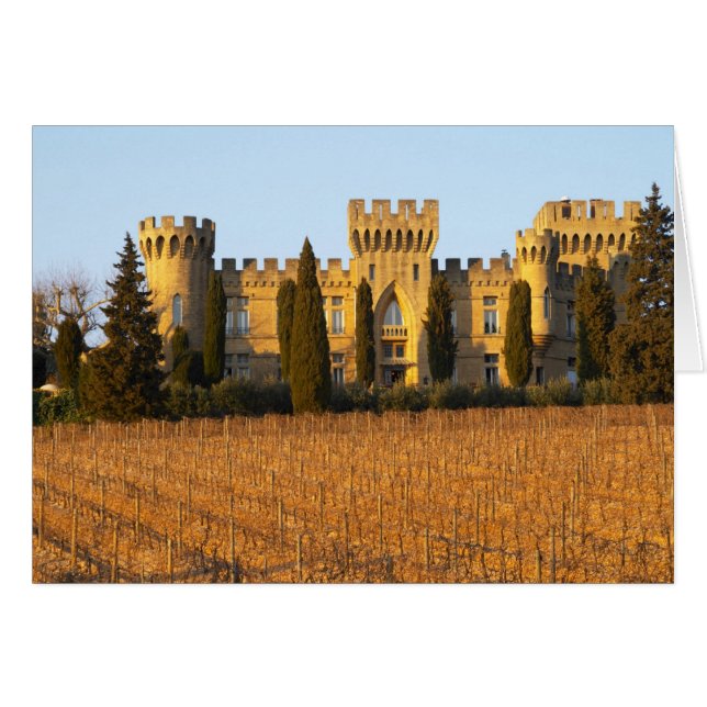 Le vignoble aux pins sylvestres et le château (Devant horizontal)