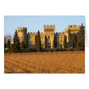 Le vignoble avec les vignes de syrah et le château