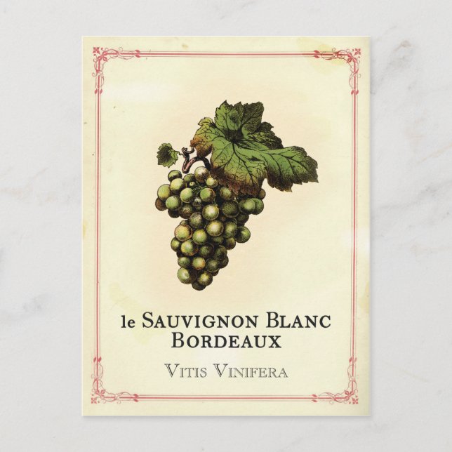 Le Vin Blanc Postkarte (Vorderseite)