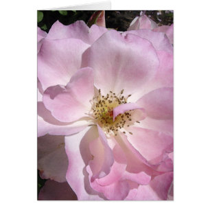 Le visage d'angle s'est levé